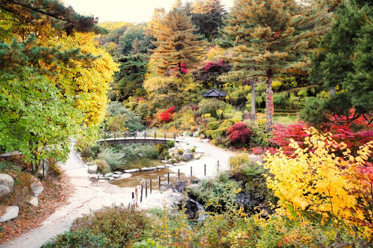 Nami Island, Mount Seorak, and Garden of Morning Calm Full-Day Tour from Seoul - სურათი 3