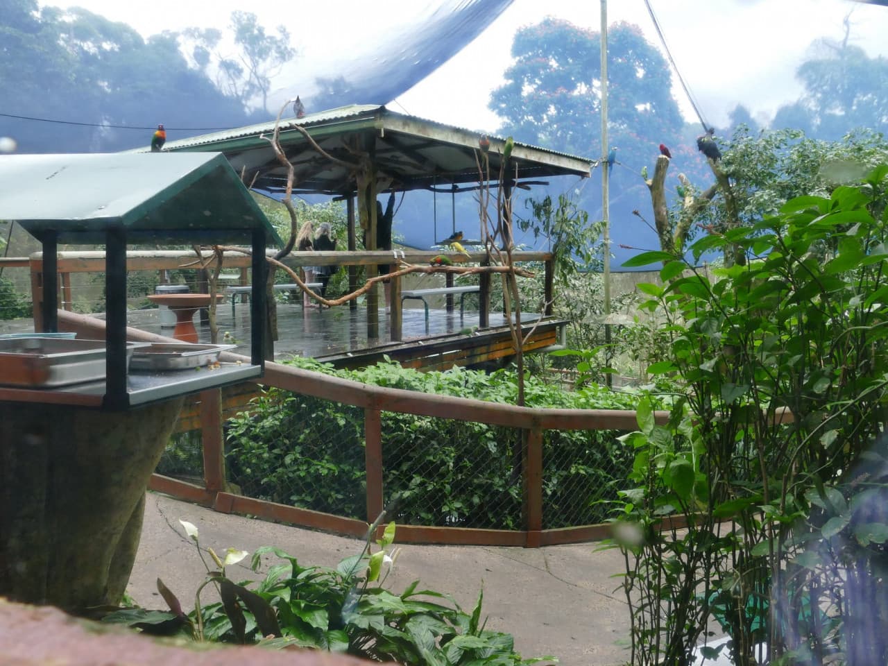 Birdworld Kuranda - სურათი 7