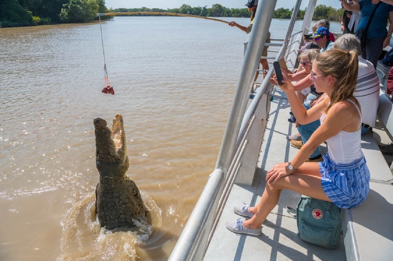 Spectacular Jumping Crocodile Cruise - სურათი 2