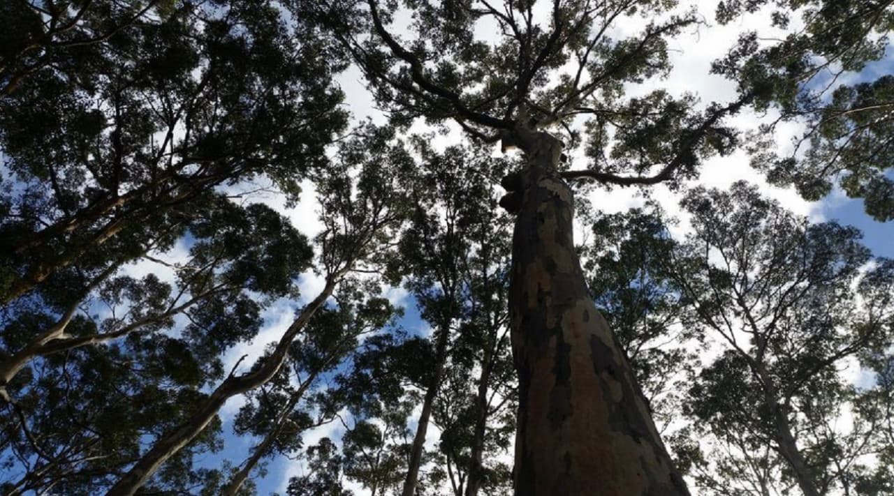 Margaret River Beer Tasting Tour from Perth - სურათი 5