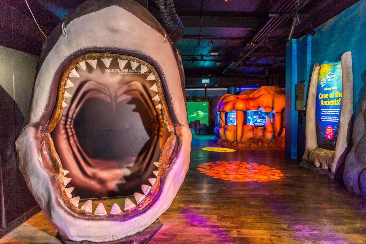 SEA LIFE Melbourne Aquarium Direct Entry Ticket - სურათი 13