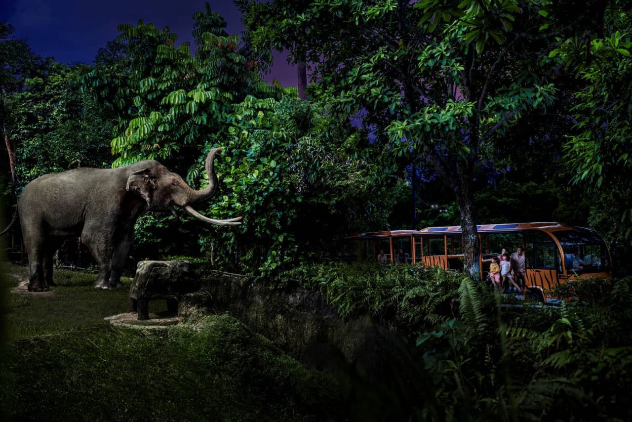 Mandai Destination Pass: Up to 2 Attractions in 1 Day - სურათი 5