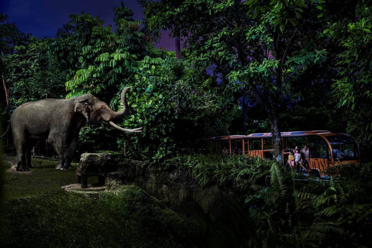 Singapore Night Safari Ticket - მთავარი სურათი