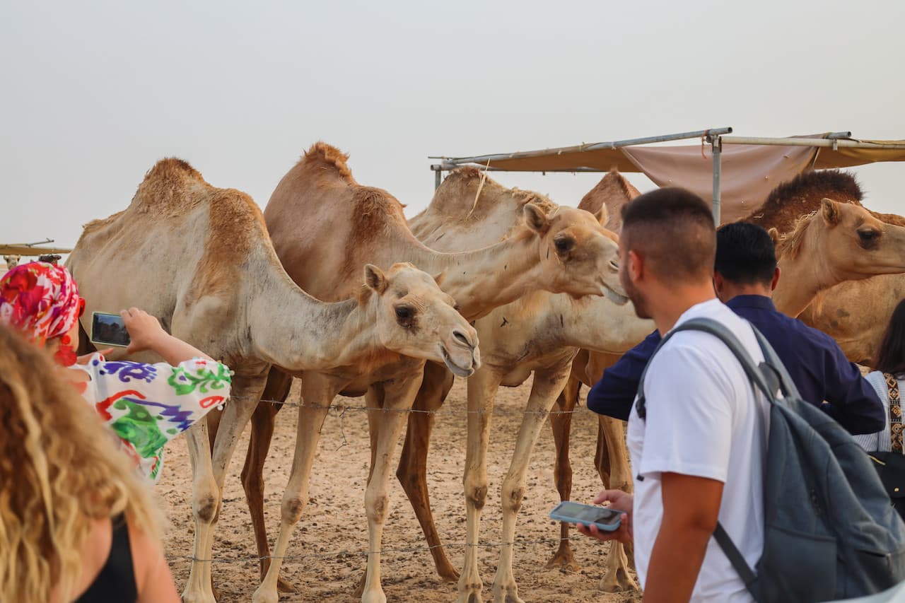 Desert Safari Tour from Abu Dhabi - სურათი 9
