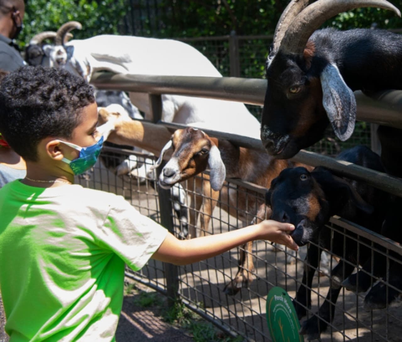 Central Park Zoo - სურათი 4
