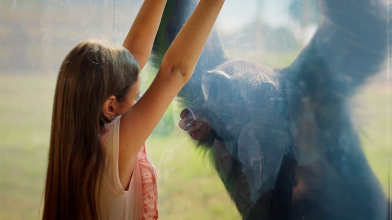 Dubai Safari Park Ticket - სურათი 18