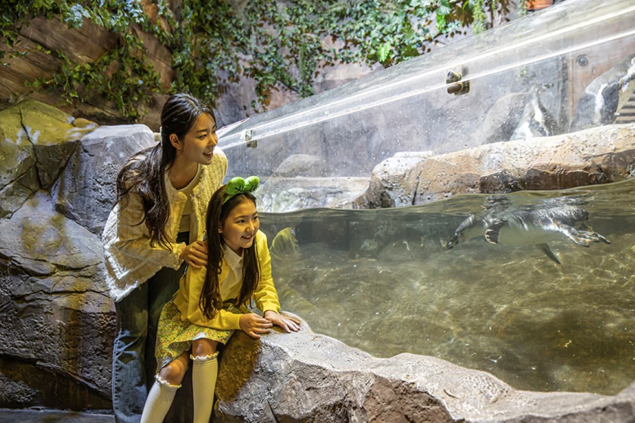 Zoolung Zoolung Indoor Animal Theme Park Ticket - სურათი 4