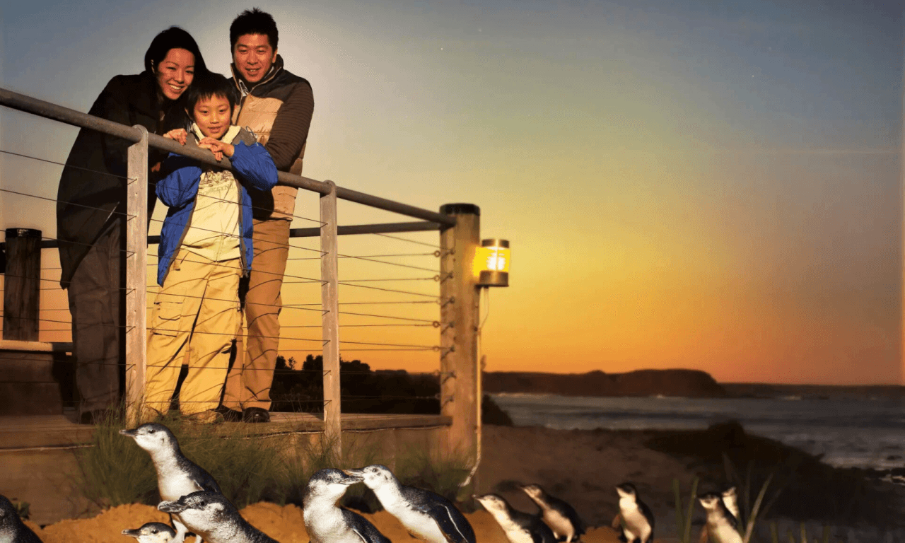 Phillip Island with Penguin Parade Eco Tour - სურათი 3