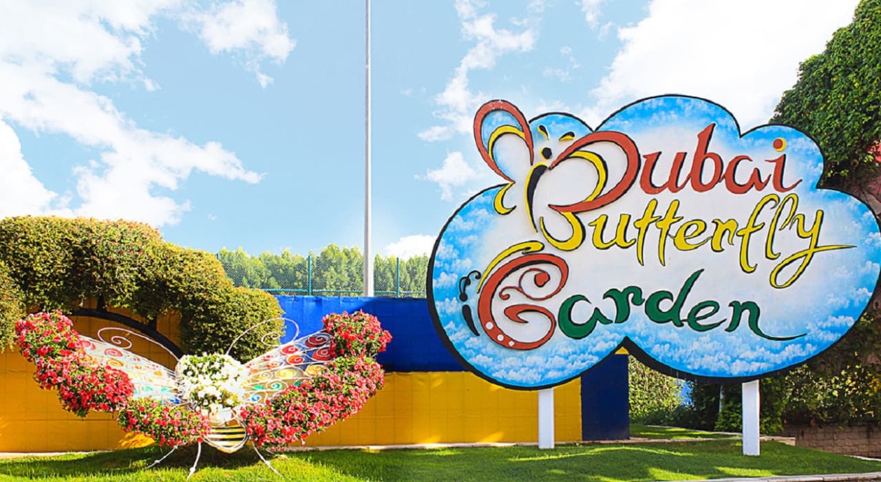 COMBO: Dubai Miracle Garden + Dubai Butterfly Garden Tickets - სურათი 5