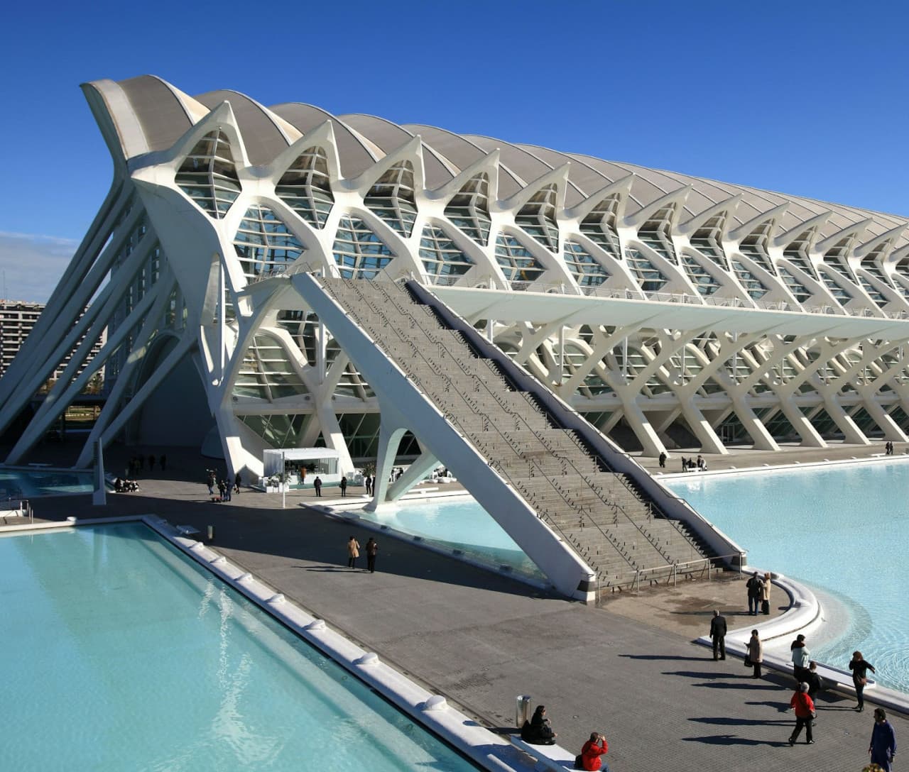Science Museum Valencia Ticket - სურათი 3