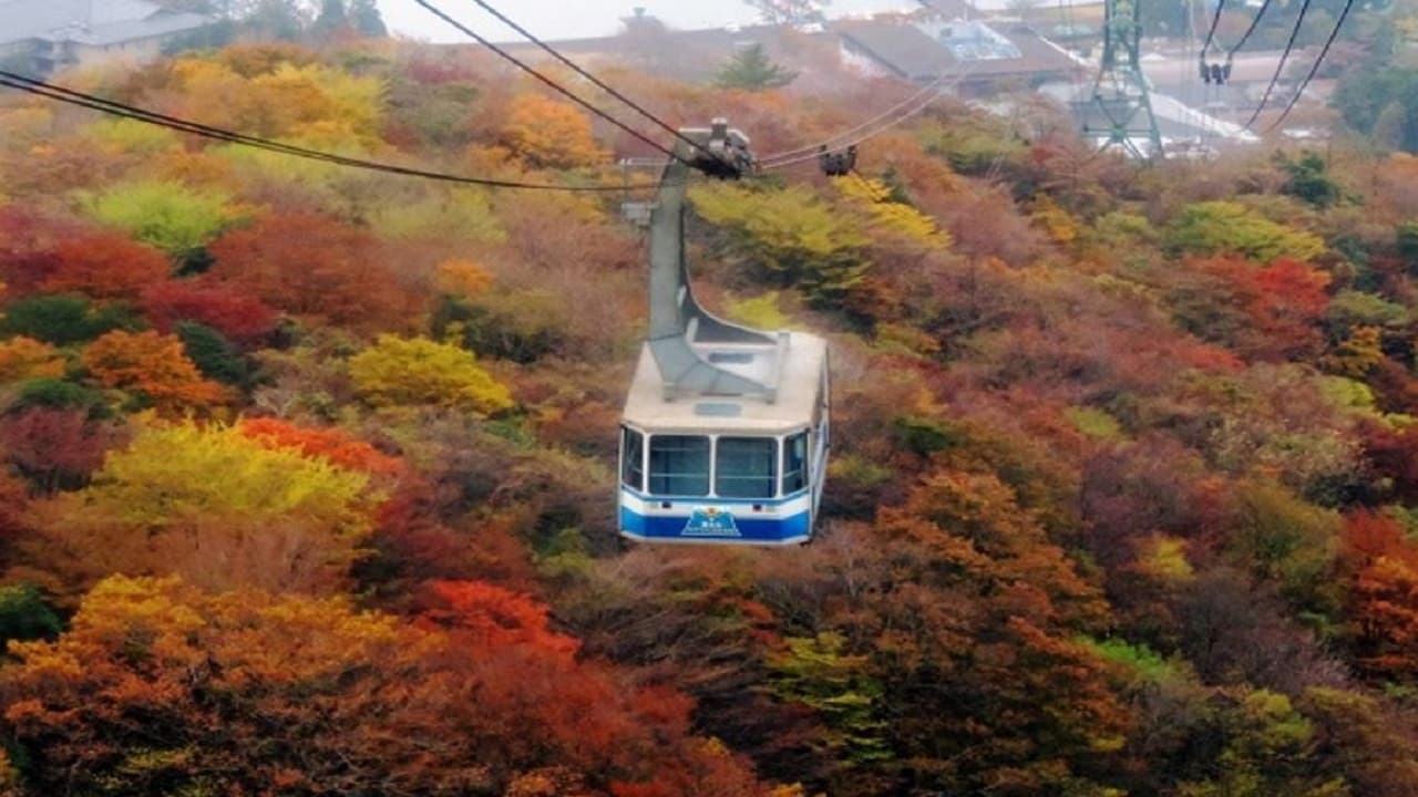 Mount Fuji and Hakone Tour - სურათი 4
