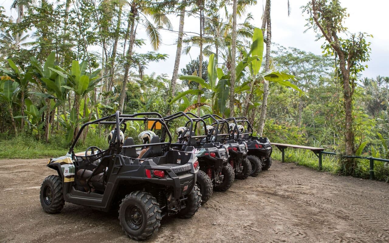 Bali's Thrilling Jungle Buggy Adventure by Mason Adventures - სურათი 3
