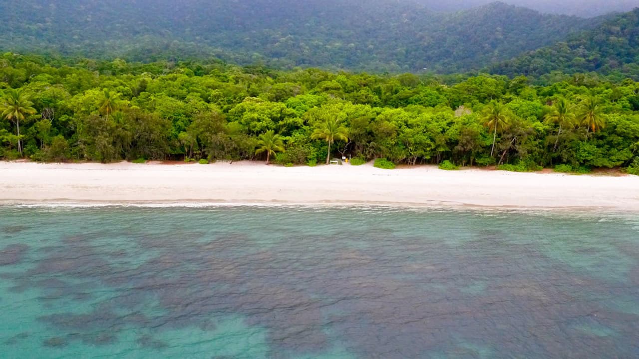 Cape Tribulation and Daintree Wilderness Full-Day Tour - სურათი 10