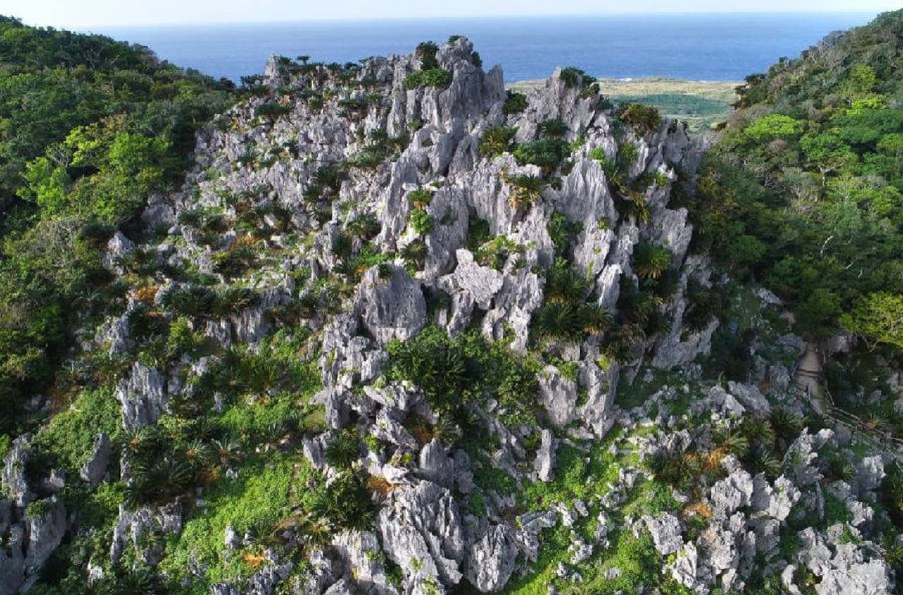 Okinawa Churaumi TokuToku 5 Pass - სურათი 3