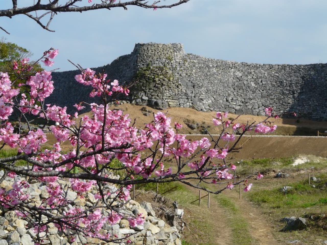 Nakijin Castle Ruins Ticket - სურათი 11