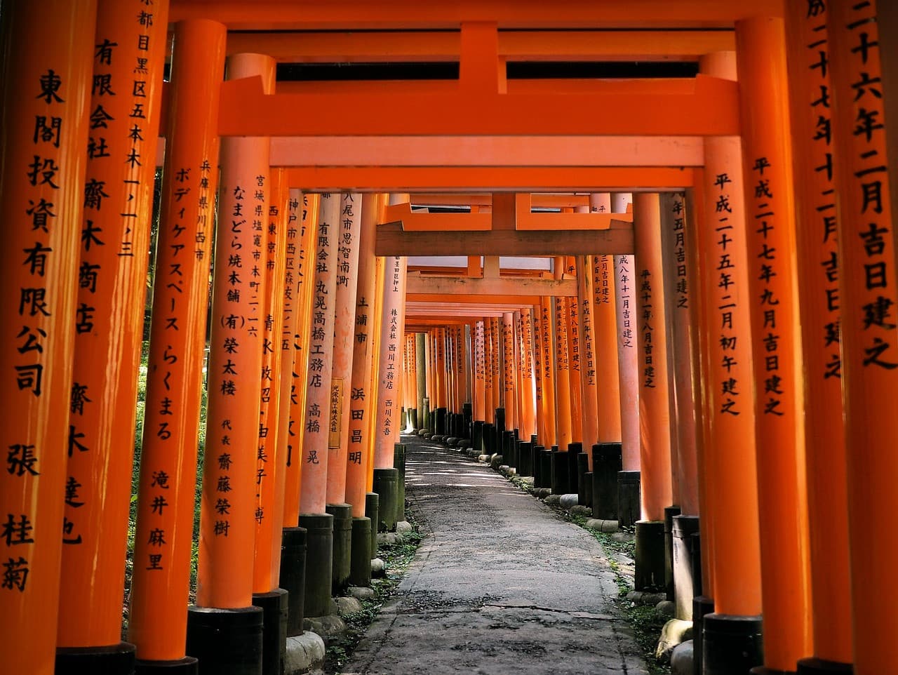 Kyoto Tour from Osaka - მთავარი სურათი