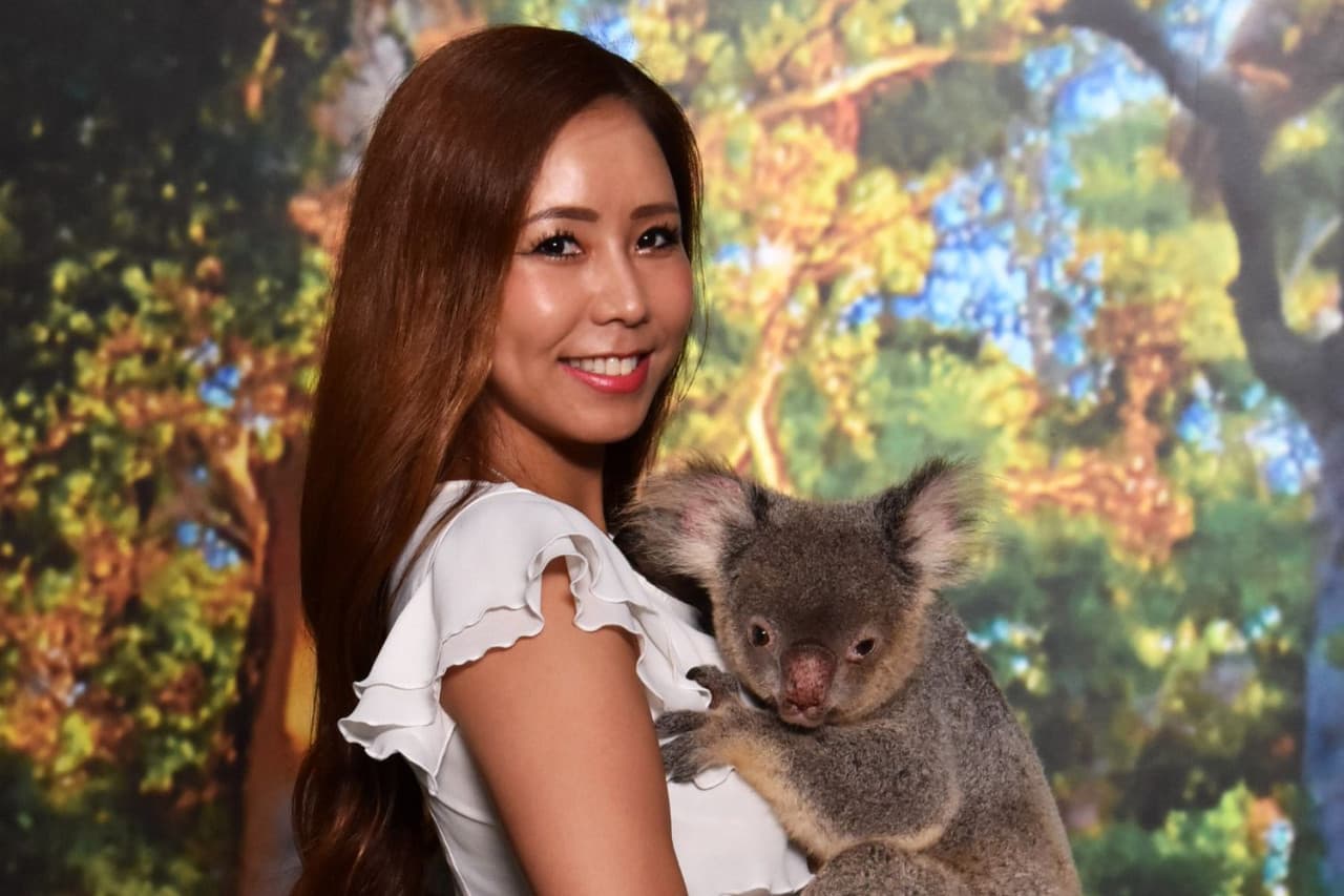 Cairns Koalas and Creatures at the Pier Ticket - სურათი 2
