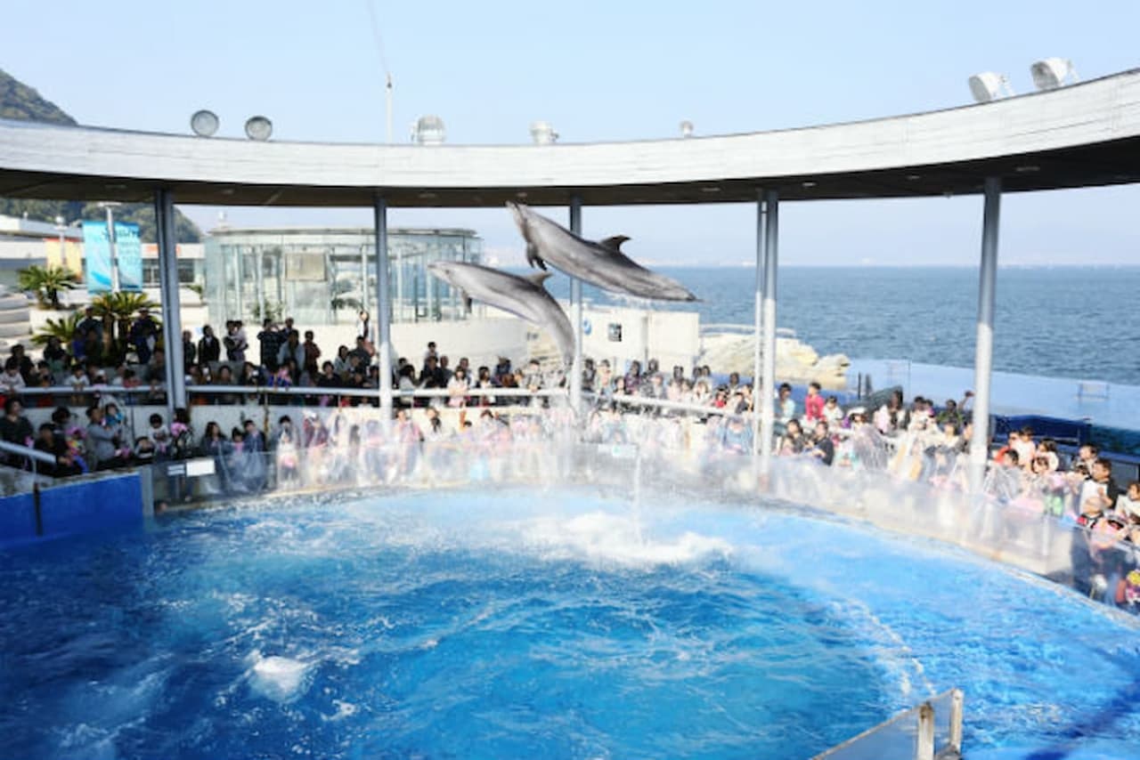 Oita Marine Palace Aquarium Umitamago Ticket - სურათი 9