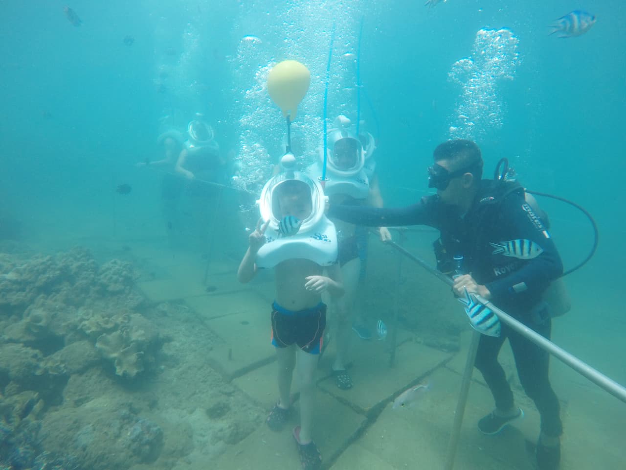 Cham Islands Underwater Walking and Snorkelling Half-Day Tour from Da Nang - სურათი 4