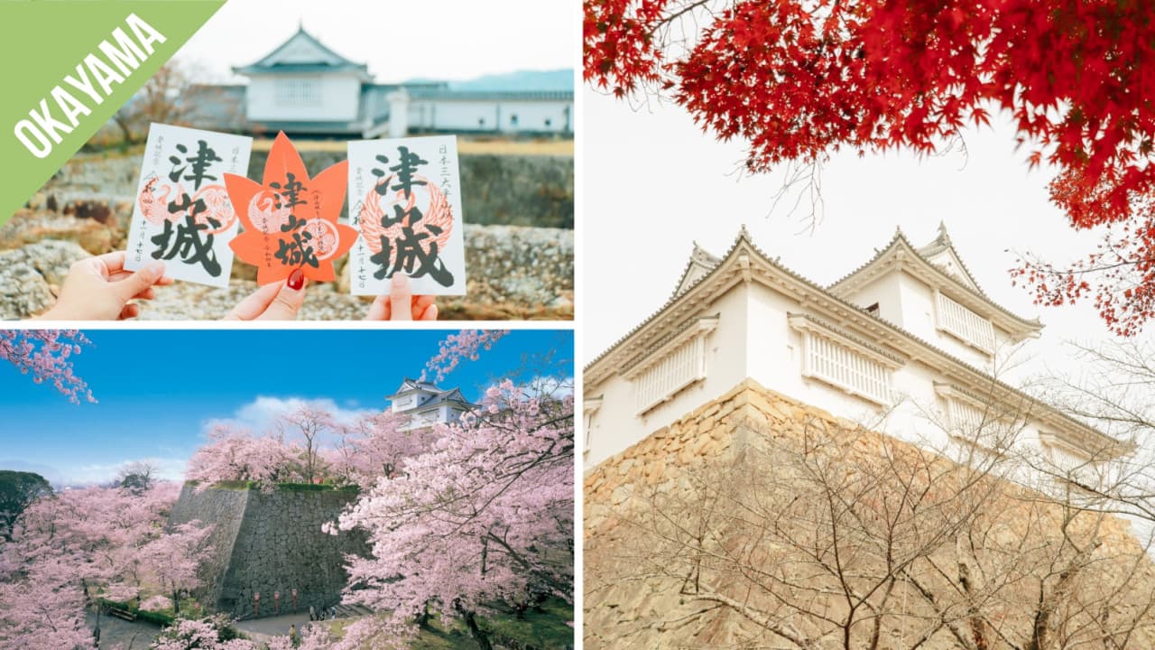 Have Fun in Okayama Pass - 1 Week Free Pass - სურათი 4