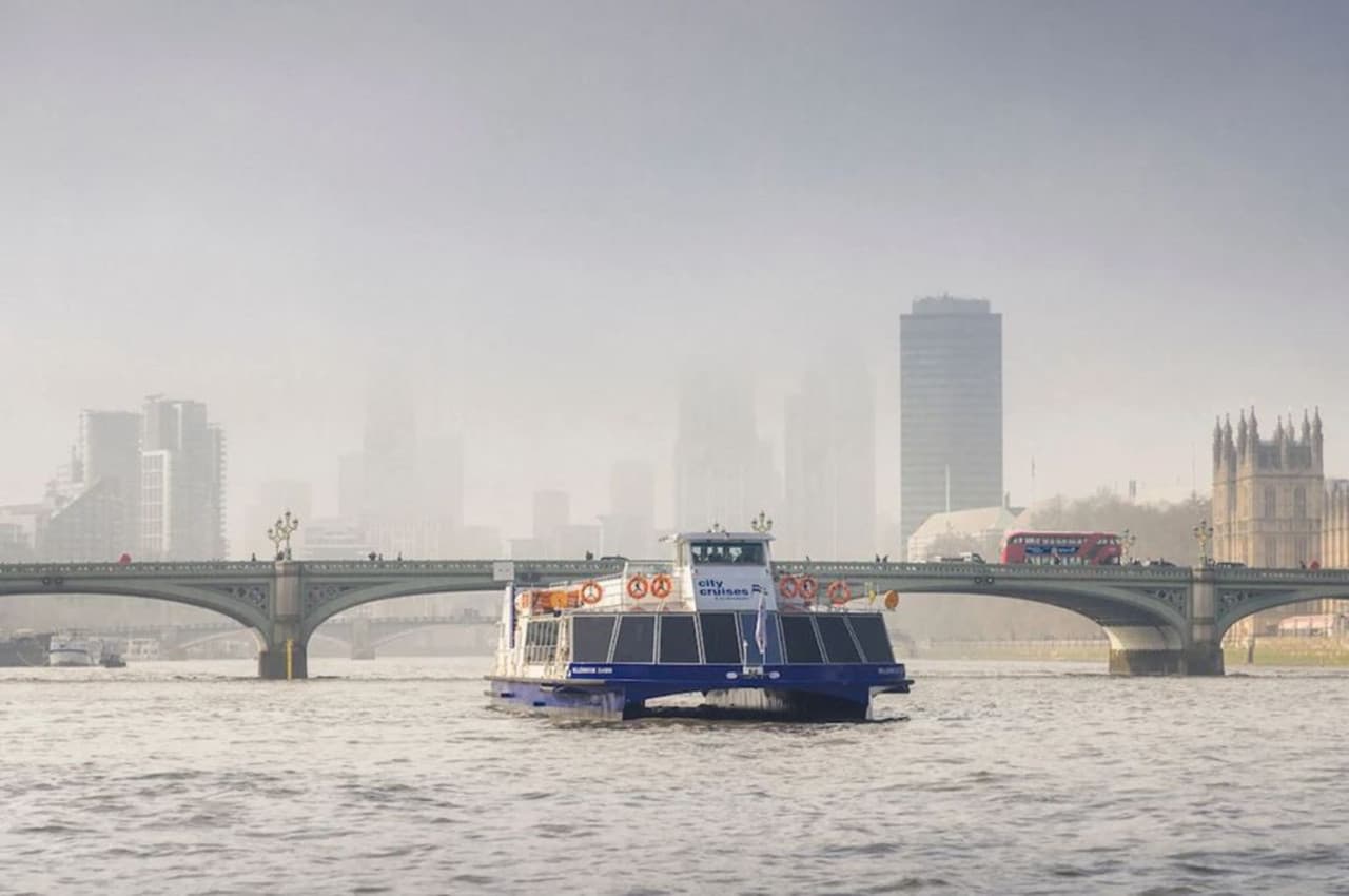 Afternoon Tea Cruise on the River Thames - სურათი 2