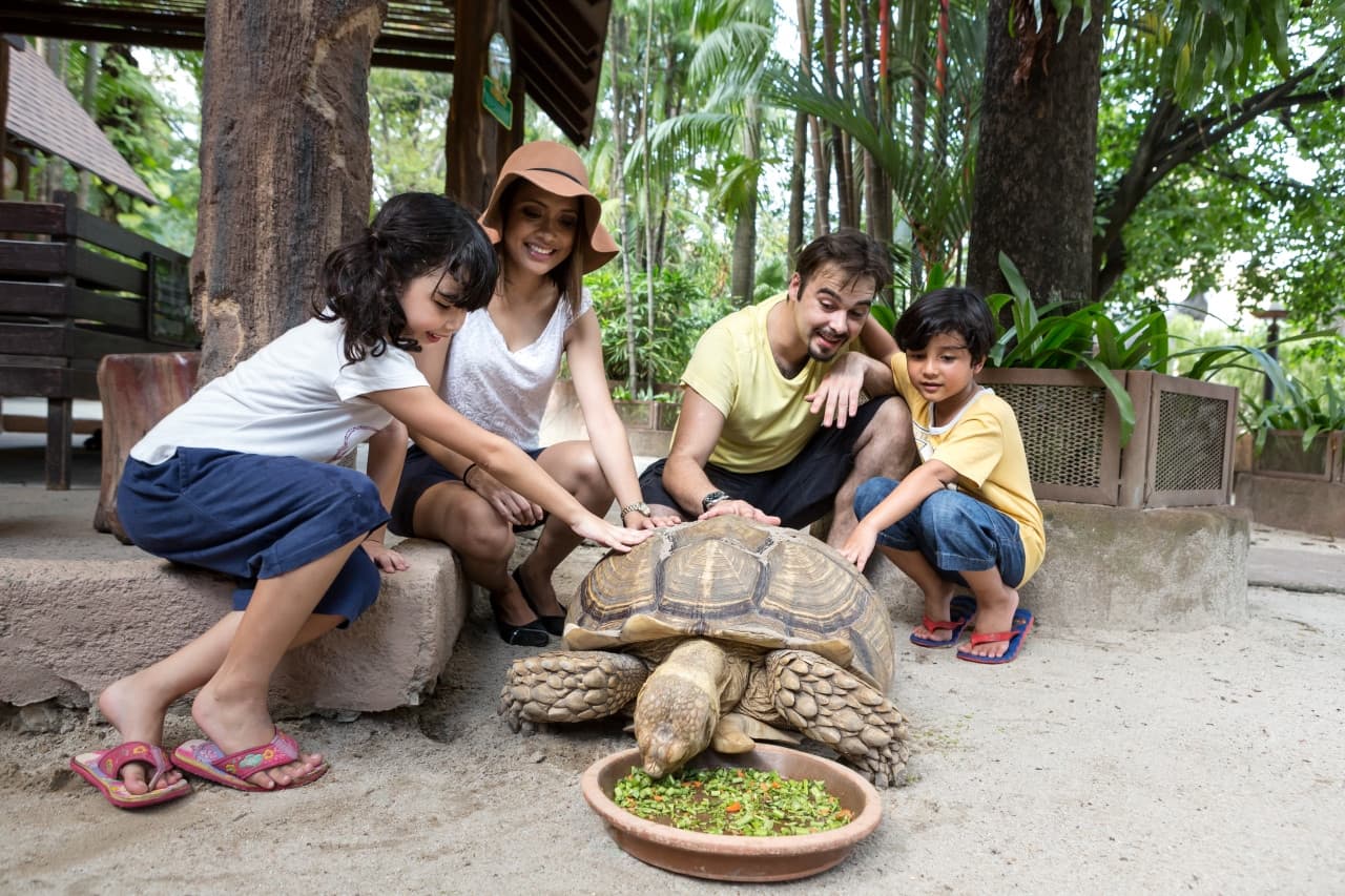 Sunway Lagoon Theme Park Ticket - სურათი 12