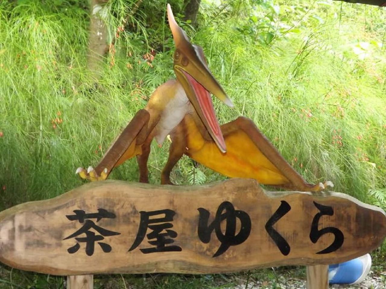 Okinawa Dino Park Yanbaru Subtropical Forest Ticket - სურათი 8