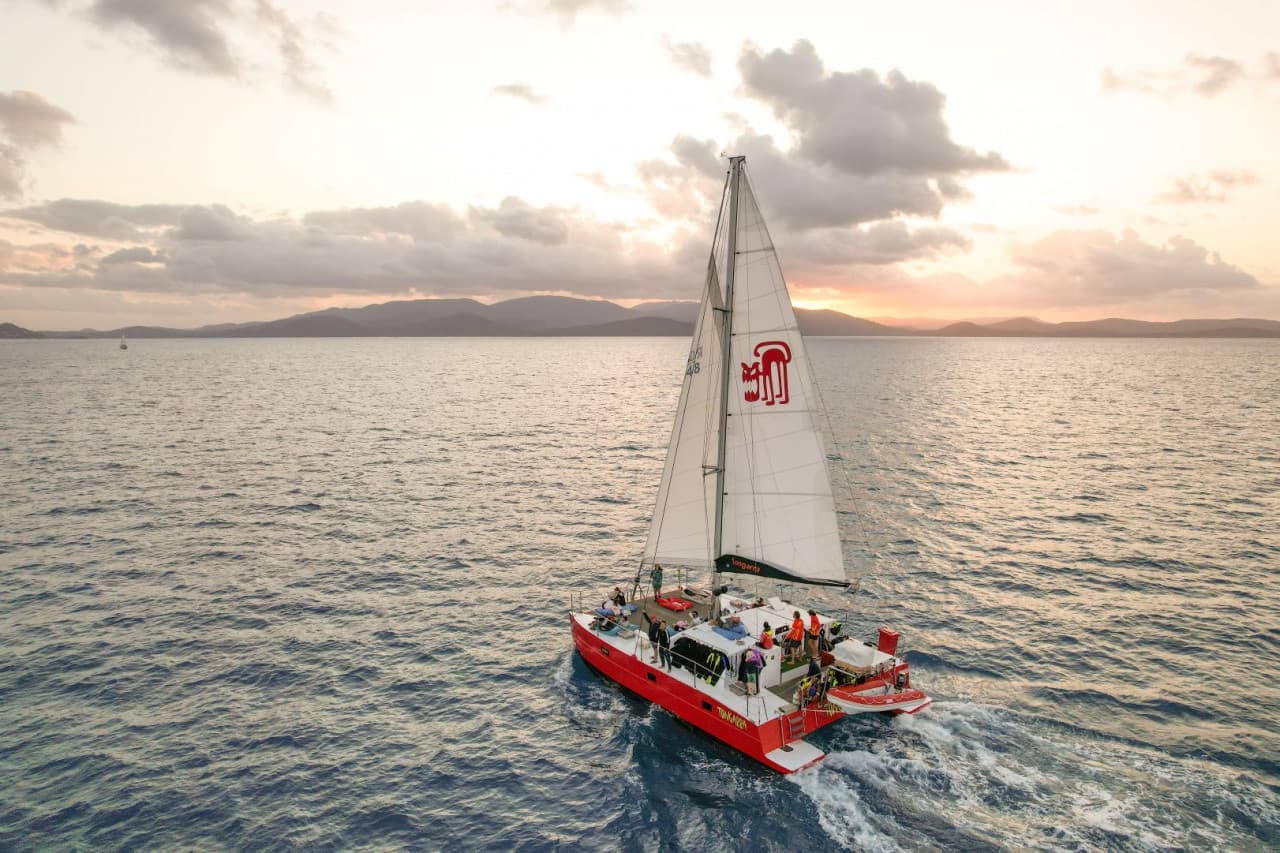 Tongarra Day Sailing Tour - სურათი 14