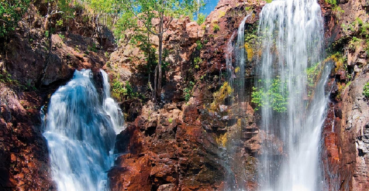 Litchfield National Park and Waterfalls Tour from Darwin - სურათი 5