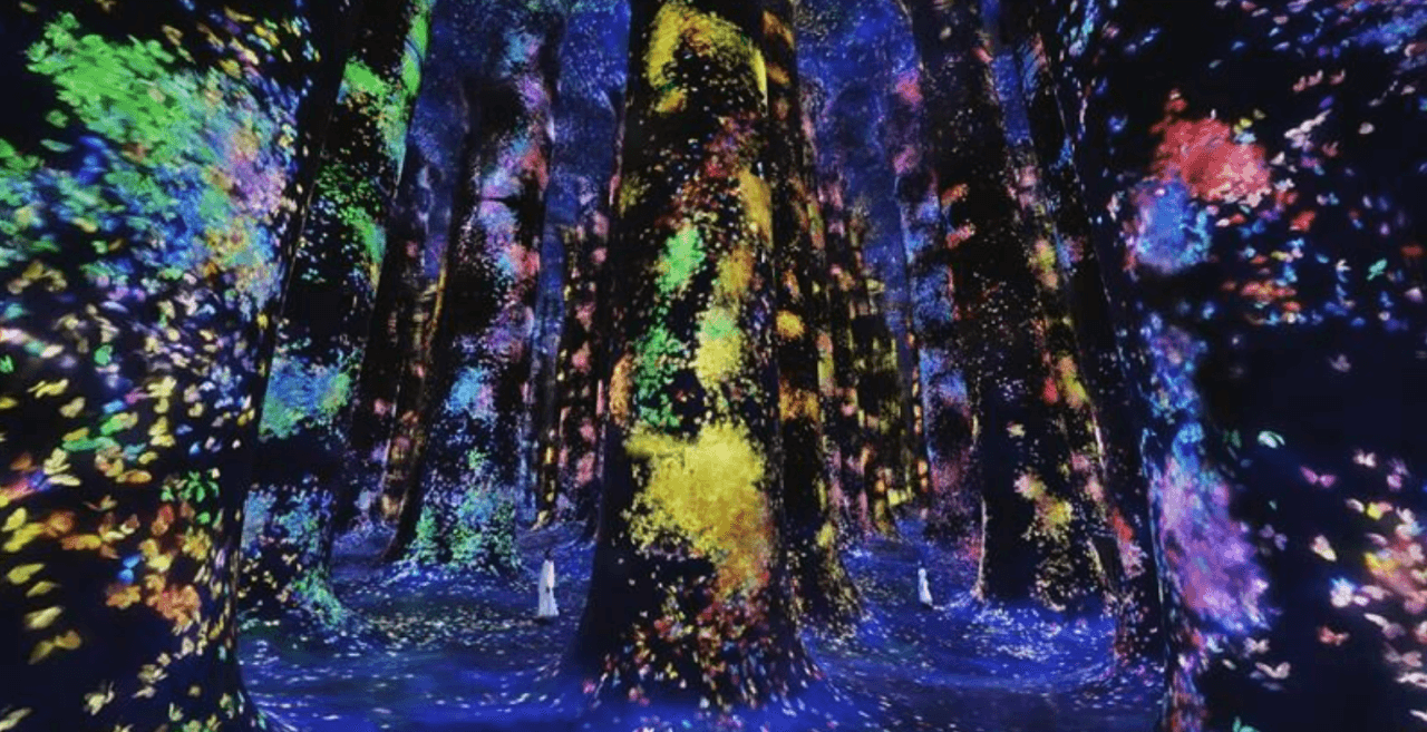 teamLab Phenomena Abu Dhabi Ticket - სურათი 11