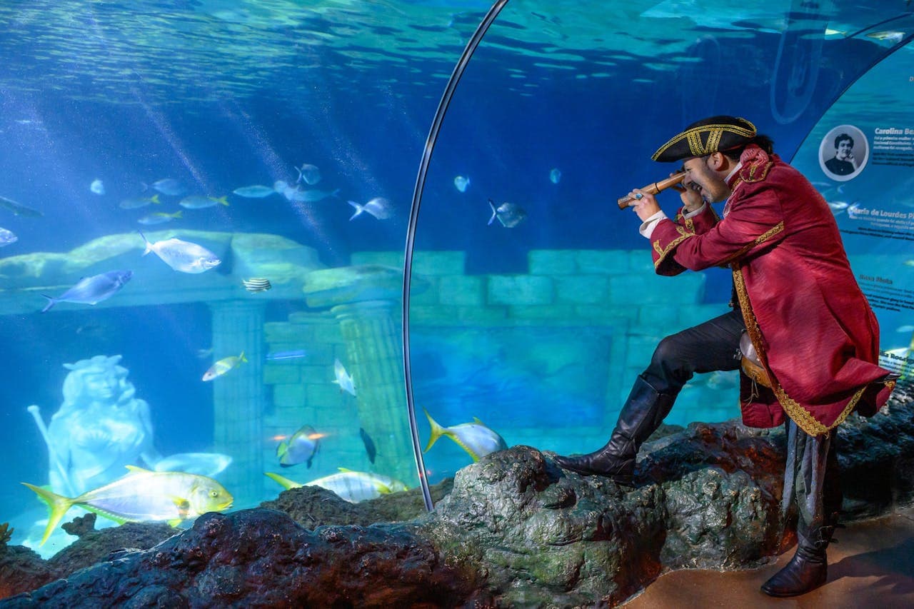 SEA LIFE Porto Ticket - სურათი 6