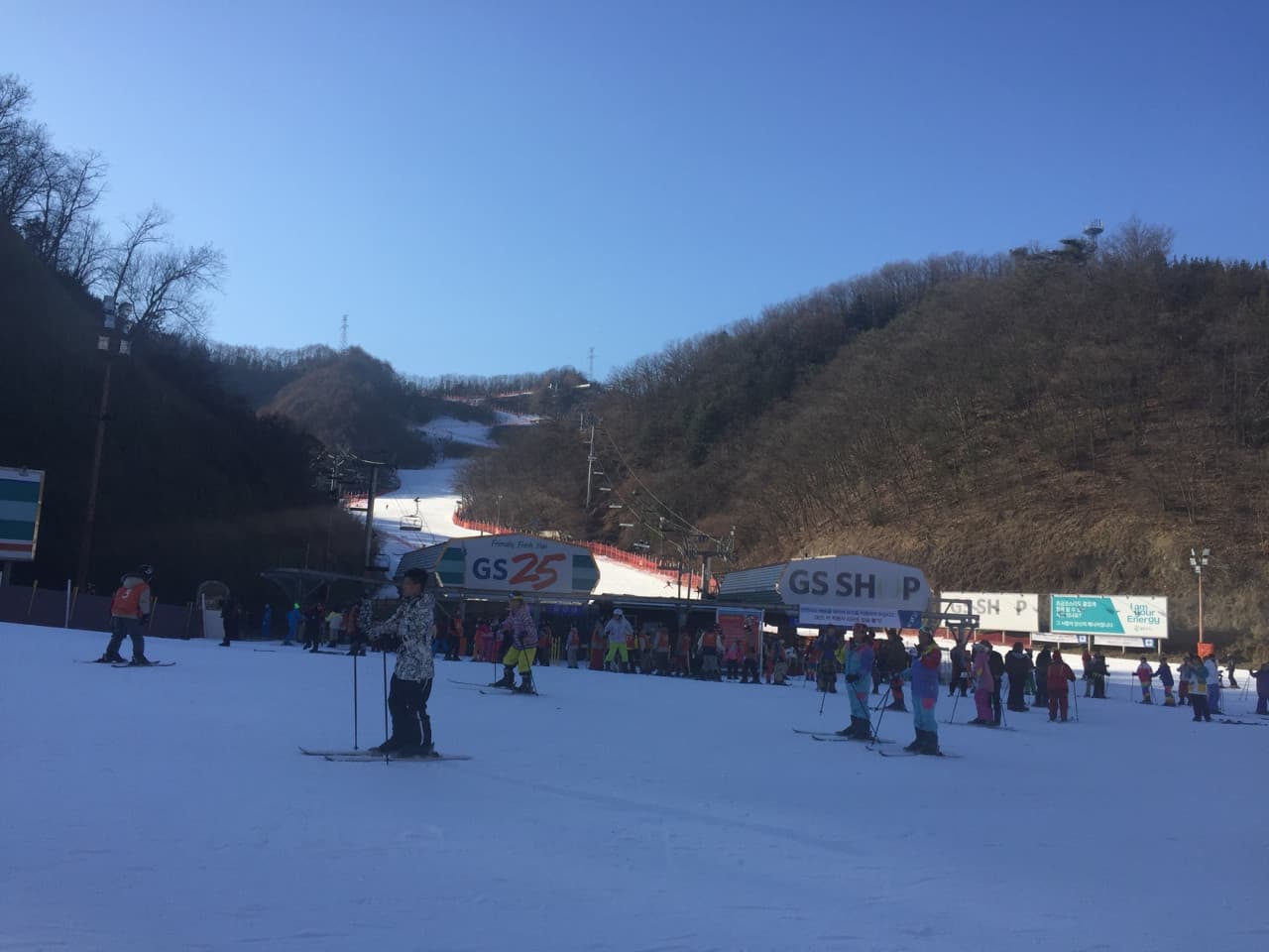 Elysian Gangchon Ski Resort and Nami Island Full-Day Tour from Seoul - სურათი 12