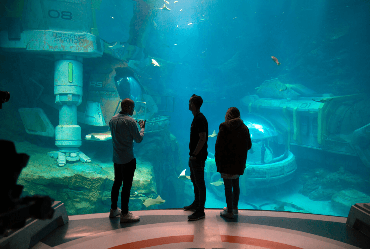 SeaWorld Abu Dhabi Ticket - სურათი 11