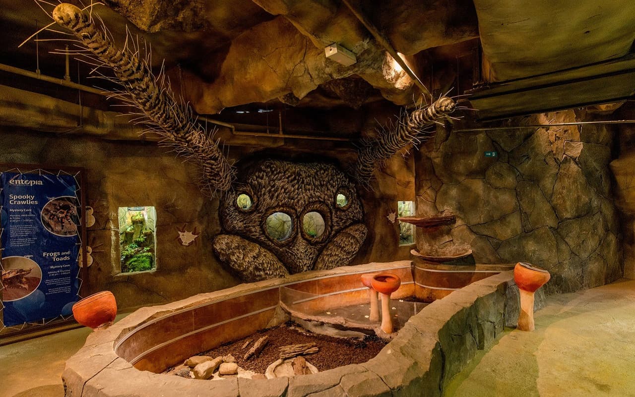 Entopia by Penang Butterfly Farm Ticket - სურათი 8
