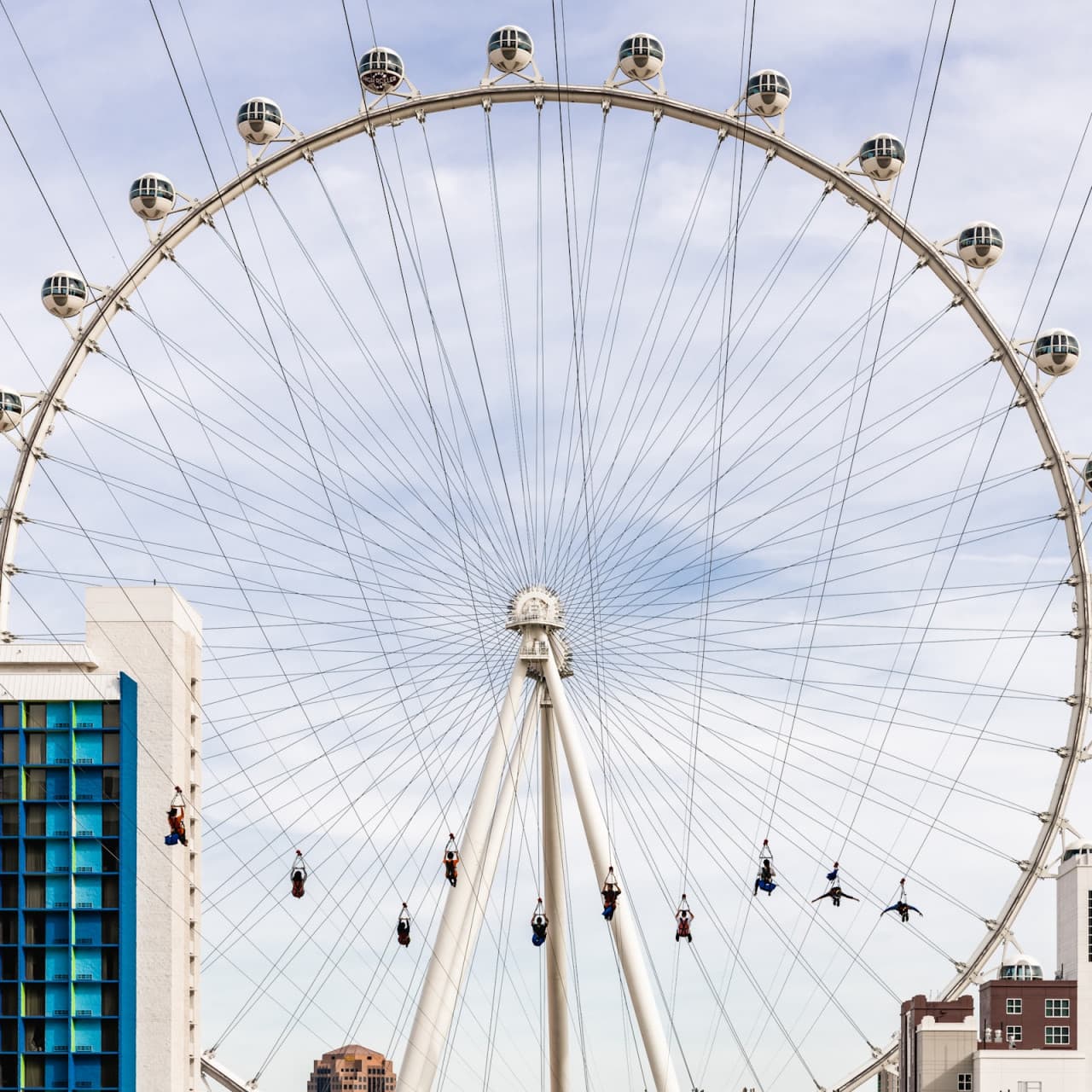 Fly LINQ Zipline - მთავარი სურათი