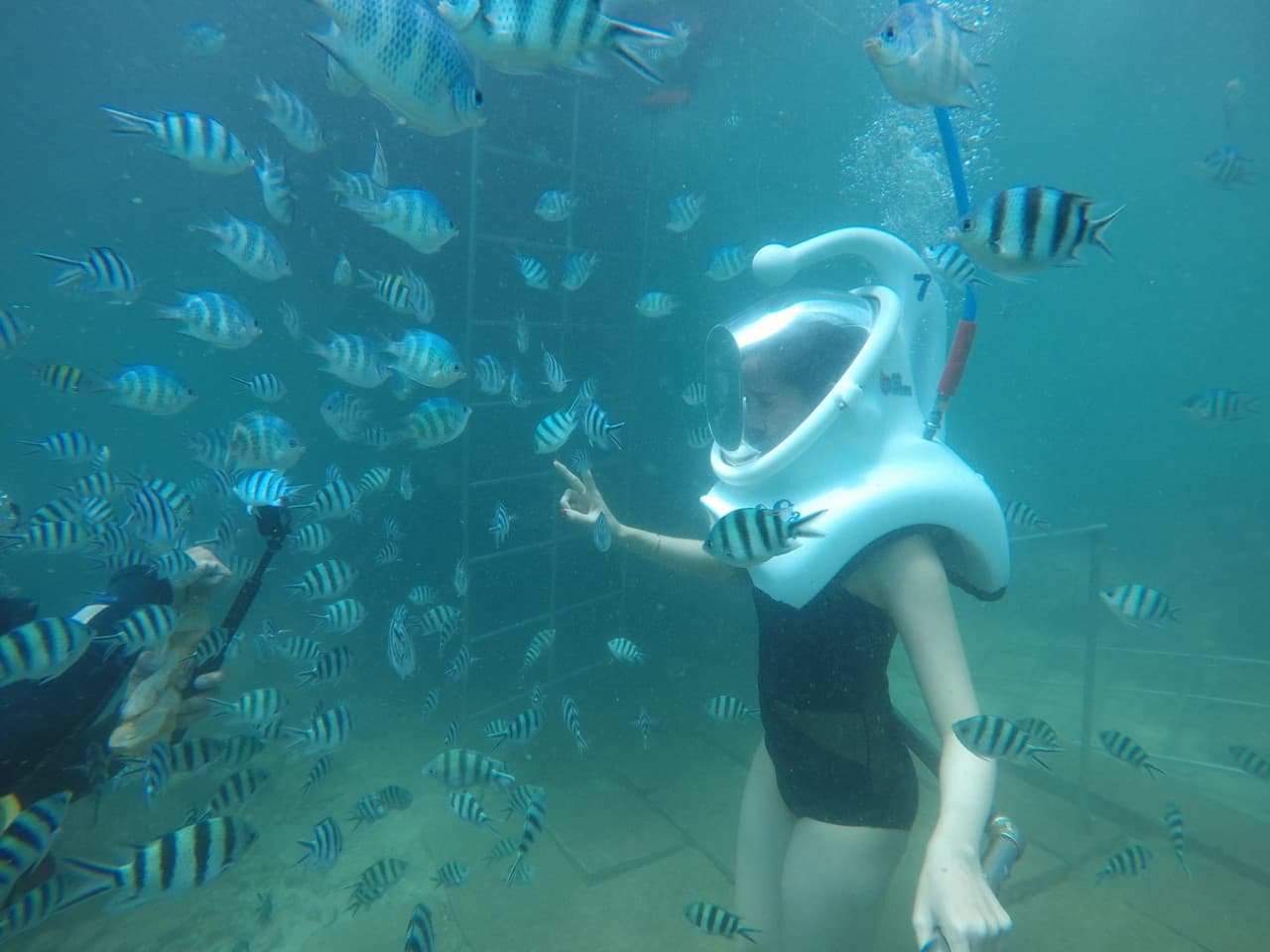 Cham Islands Underwater Walking and Snorkelling Half-Day Tour from Da Nang - სურათი 2