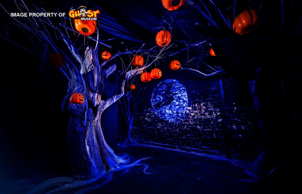 Ghost Museum Penang Ticket - სურათი 6