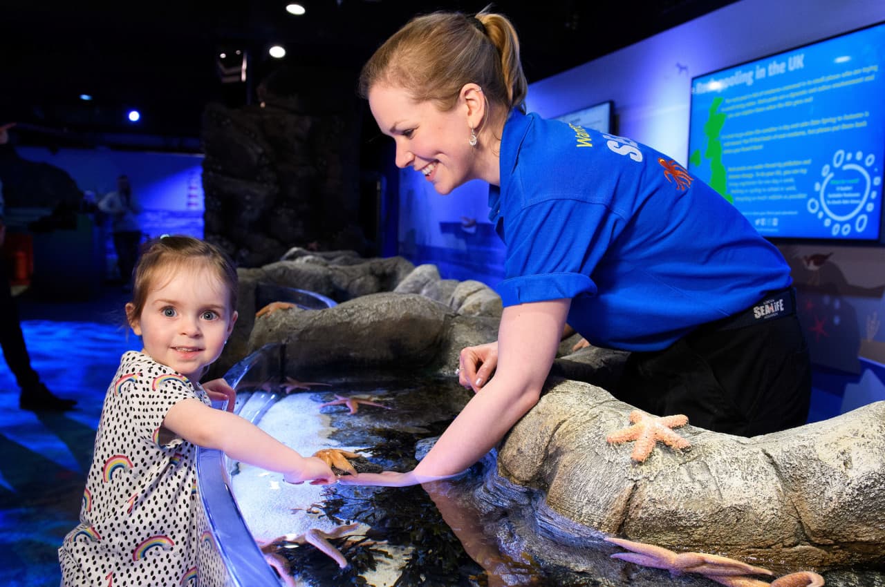 COMBO: SEA LIFE London Aquarium + FREE Hubby eSim - სურათი 7