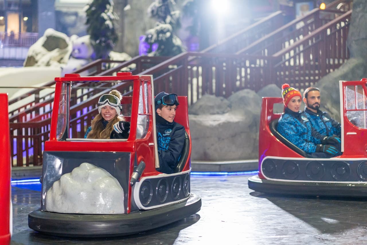 Ski Dubai Ticket - სურათი 14