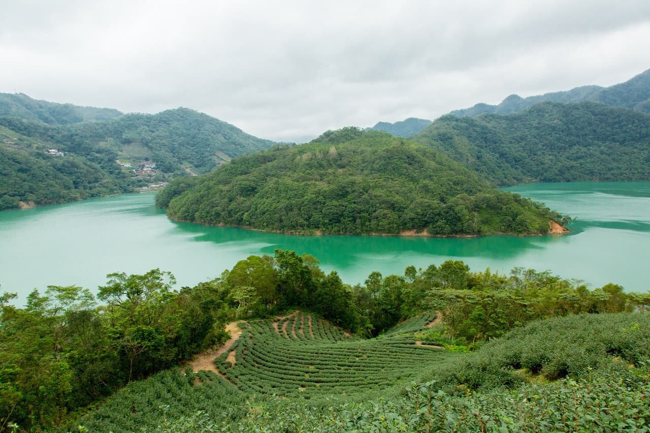 Thousand Island Lake and Pinglin Tea Plantation Tour - სურათი 3