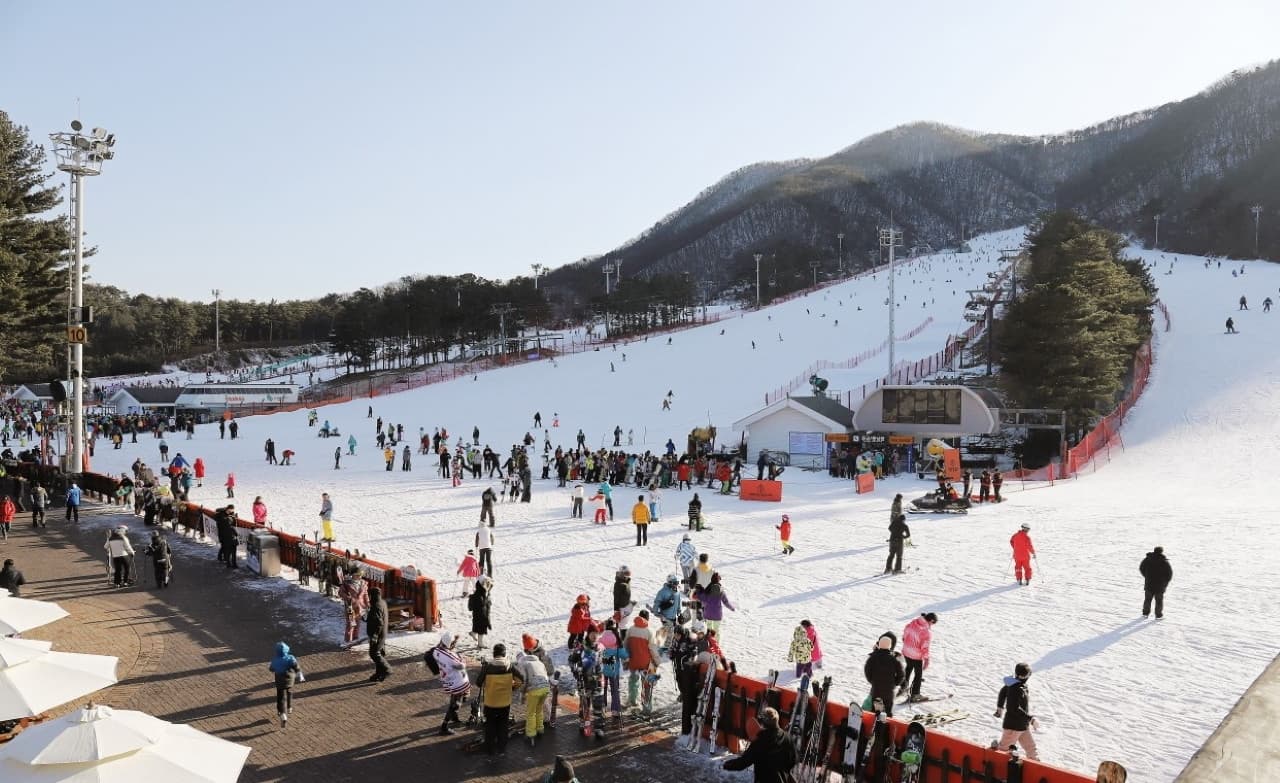 Jisan Forest Ski Resort Full-Day Tour from Seoul - სურათი 10