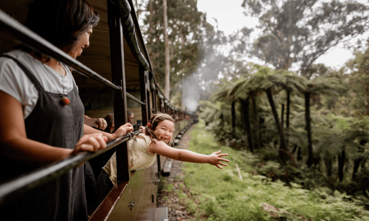 Puffing Billy Steam Train Half-Day Tour - სურათი 4