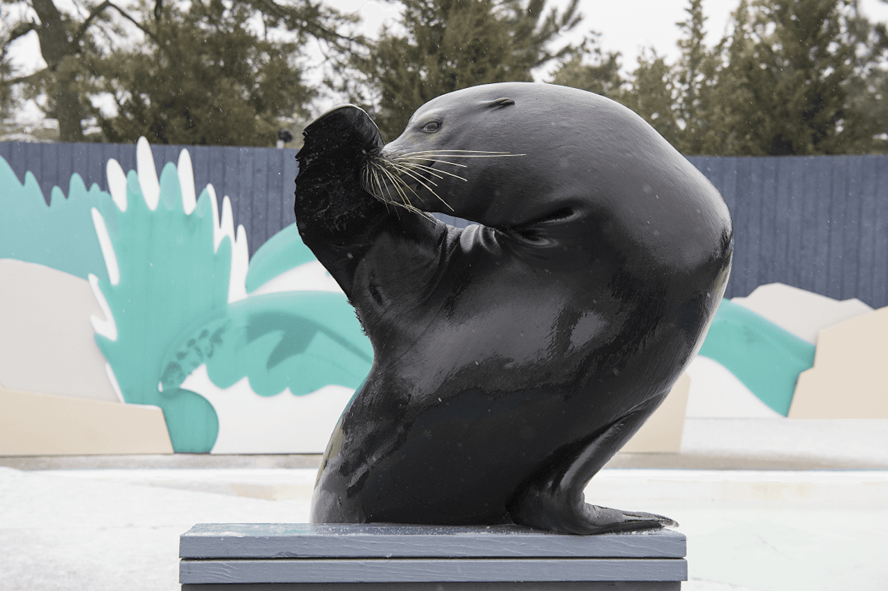 New York Aquarium - სურათი 5