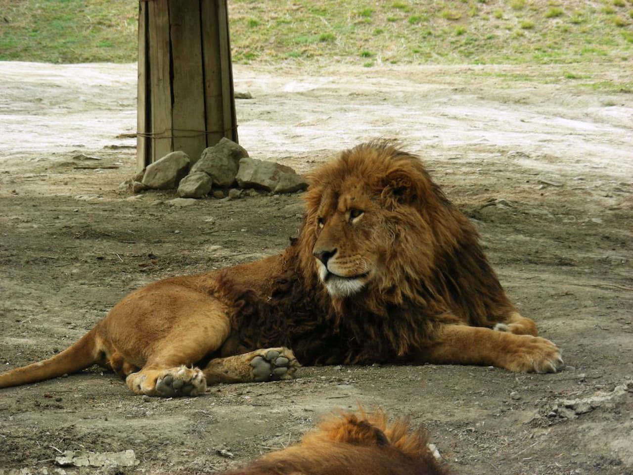 Gunma Safari Park Ticket - სურათი 9