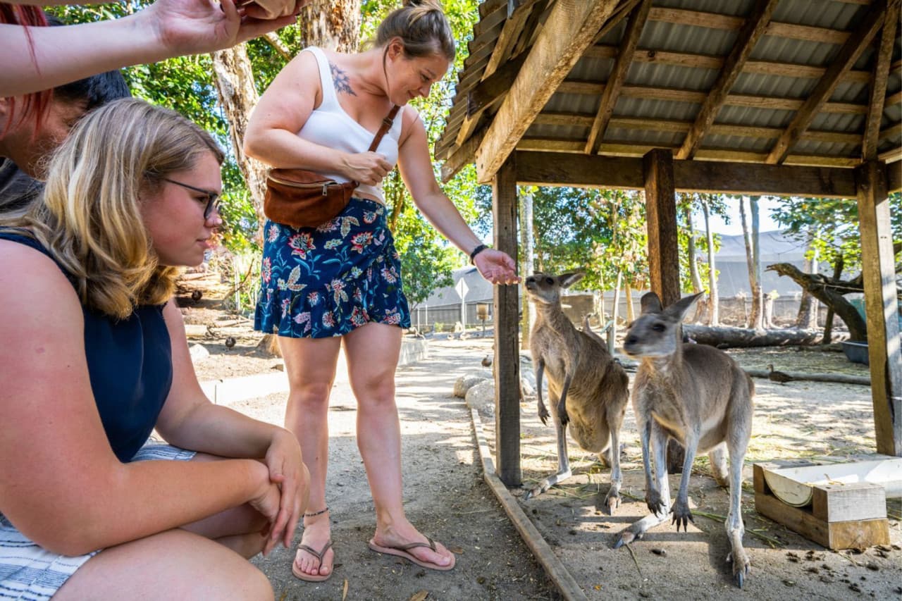 Daintree, Mossman Gorge, and Wildlife Habitat Port Douglas Full-Day Tour - სურათი 6