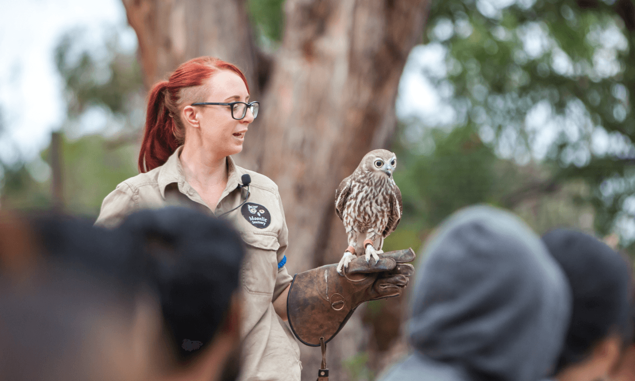 Phillip Island with Penguin Parade Eco Tour - სურათი 20