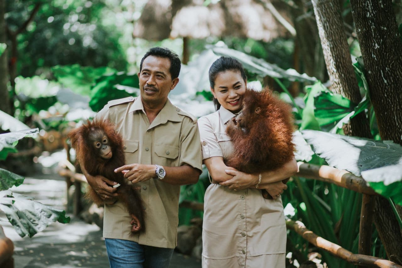 Lombok Wildlife Park Orangutan Interaction - სურათი 3