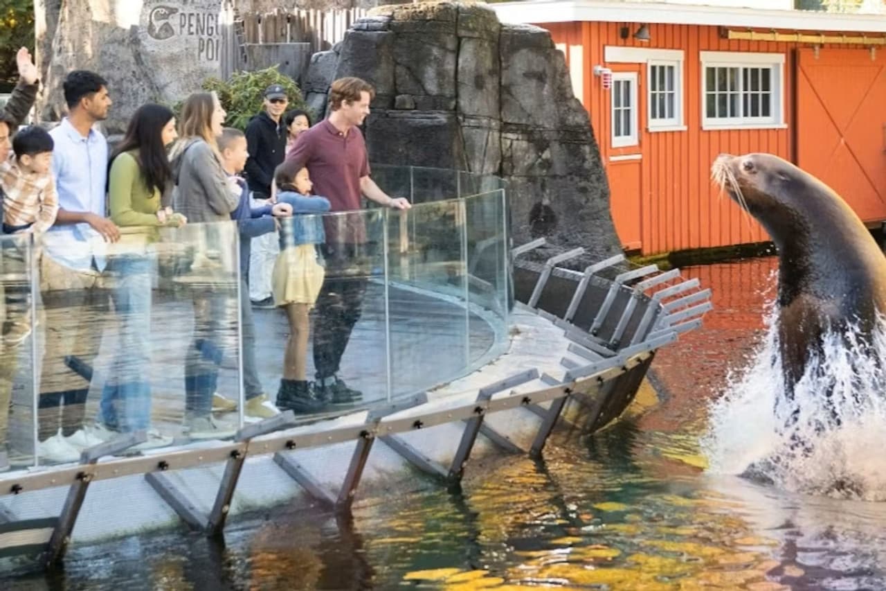 Vancouver Aquarium Ticket - სურათი 3