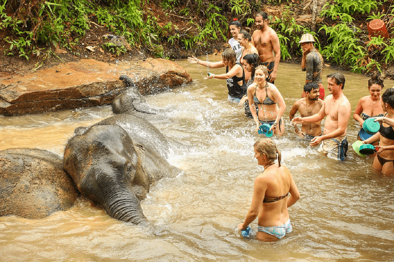 Elephant Jungle Sanctuary Phuket - სურათი 15