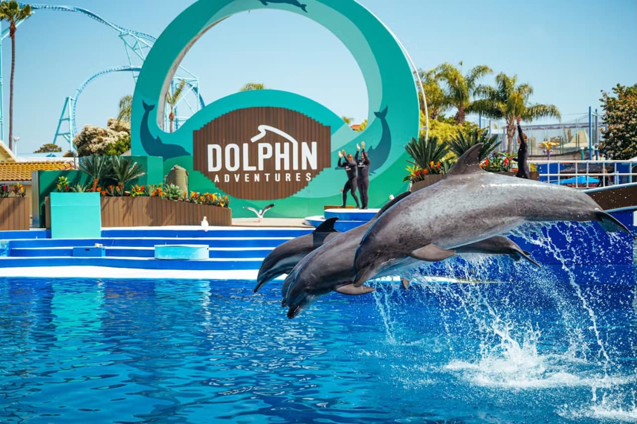 SeaWorld San Diego Ticket: Direct Entry - სურათი 9
